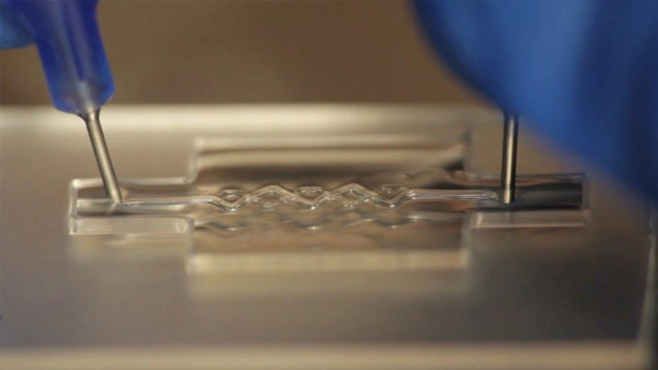 bioprinting-5